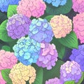 Beautiful colorful hydrangea flowers as background, top view Royalty Free Stock Photo